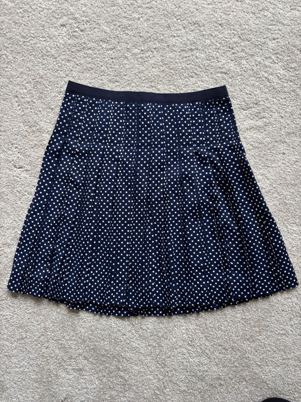 J. Crew Navy and White Polka Dot Skater Skirt